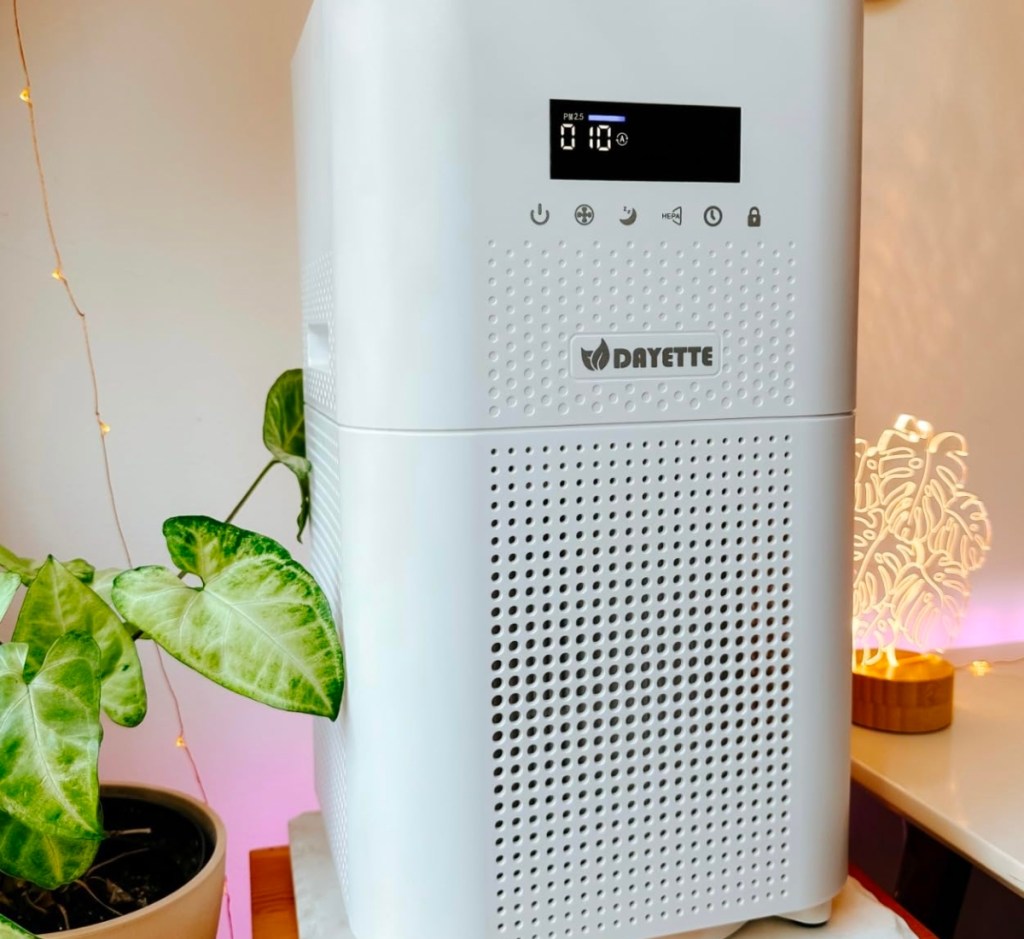 Dayette HEPA Air Purifier for Large Rooms