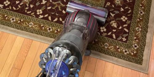 Dyson Ball Animal 3+ Upright Vacuum Cleaner Only $279.98 on SamsClub.com (Reg. $350)