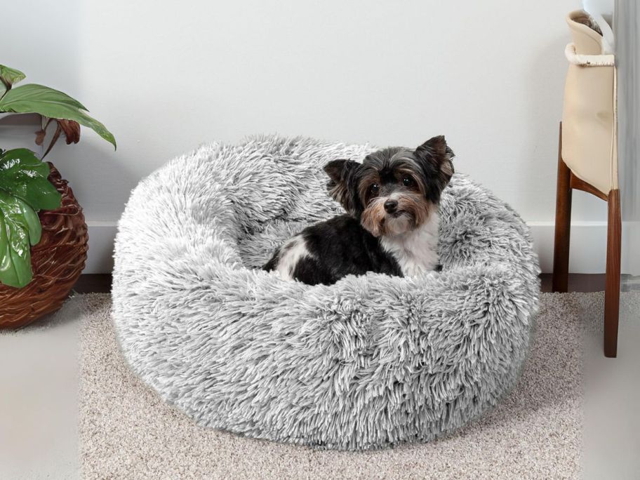 dog laying in FurHaven Calming Cuddler Long Fur Small Donut Dog Bed