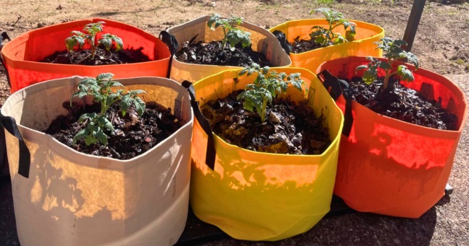 yellow, beige and orange canvas look plant grow bags with soil and plants