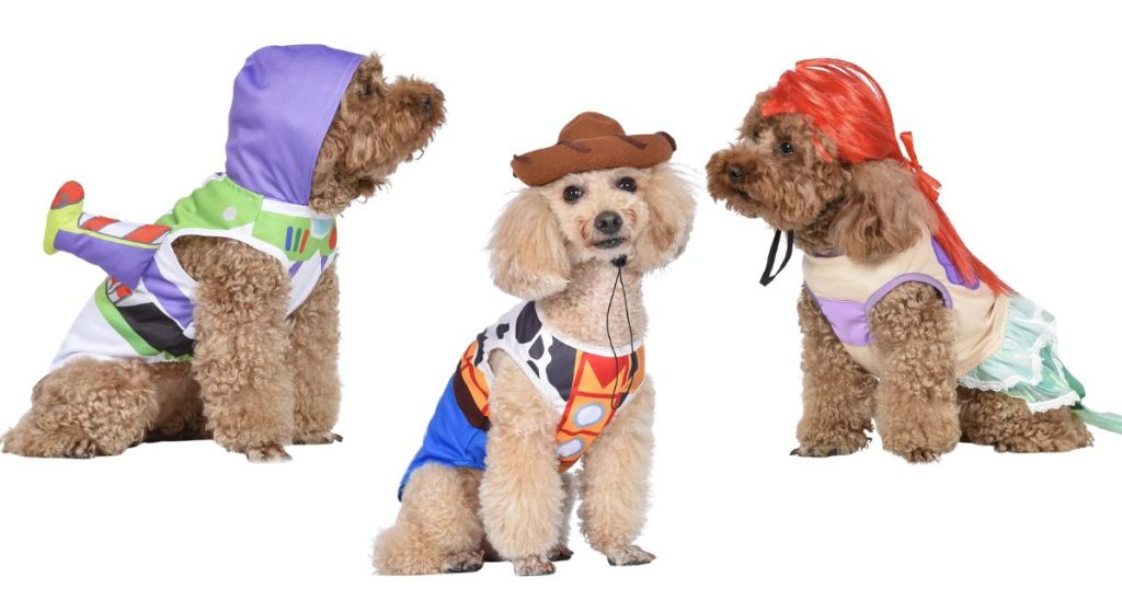 Disney Dog Costumes from Kohl's shown on dogs 
