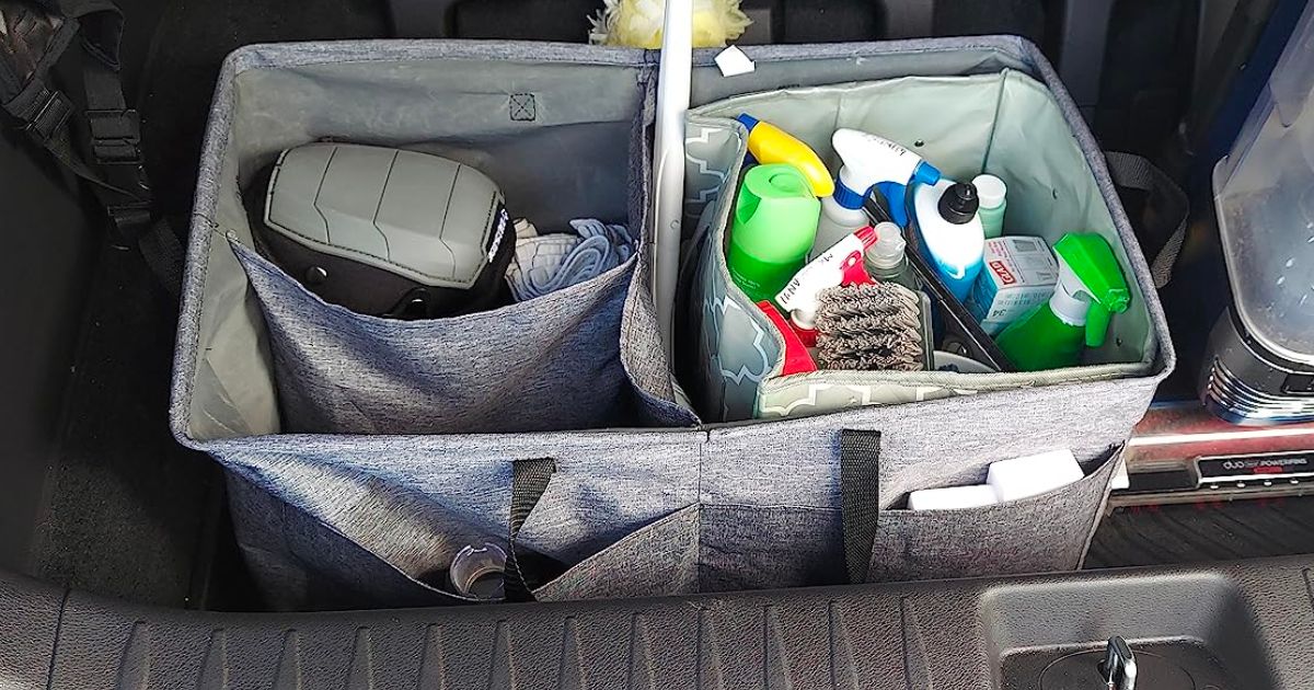 Honey-Can-Do Large Trunk Organizer