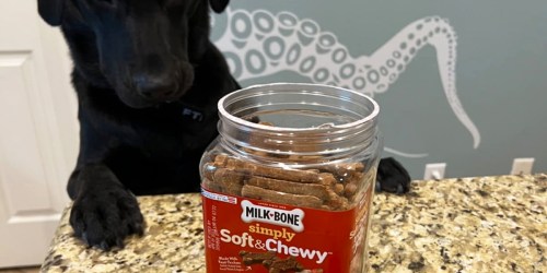 Milk-Bone Dog Treats 25oz Container Only $6.52 Shipped on Amazon (Regularly $15)