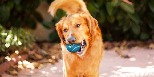 Up to 55% Off Outward Hound Dog Toys on Amazon | Squeaker Balls 6-Pack Only $5 Shipped
