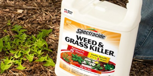 Spectracide Weed & Grass Killer Spray 1-Gallon Bottle Just $6.96 Shipped on Amazon