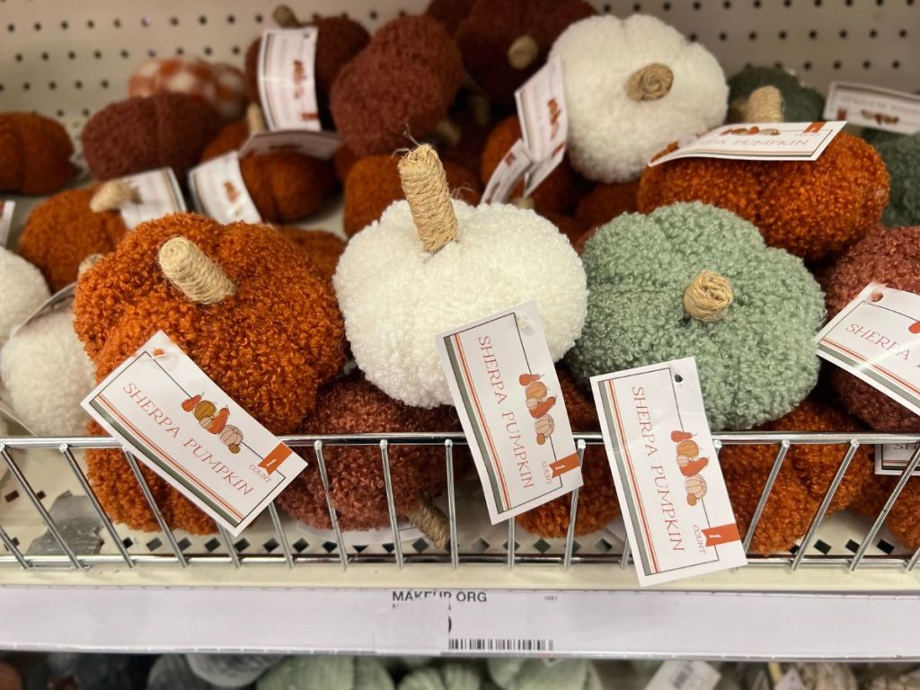 Sherpa Mini Pumpkins at Target