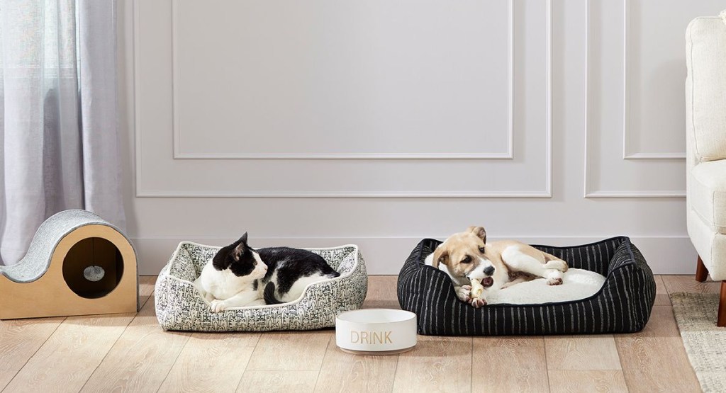 cat laying in cat bed next to dog in dog bed