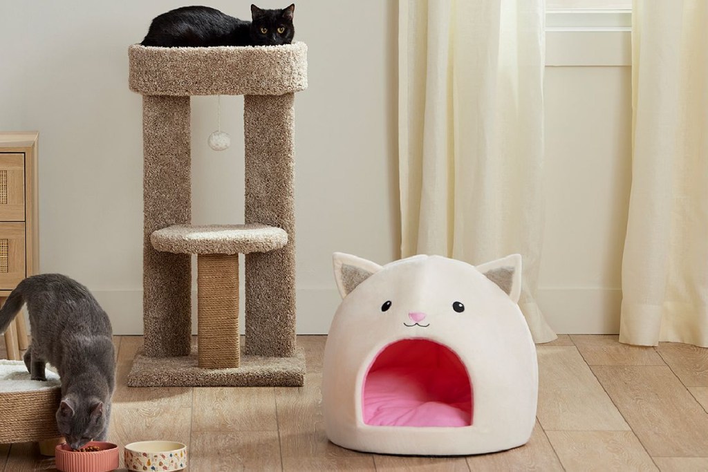 white cat hut next to cat tree