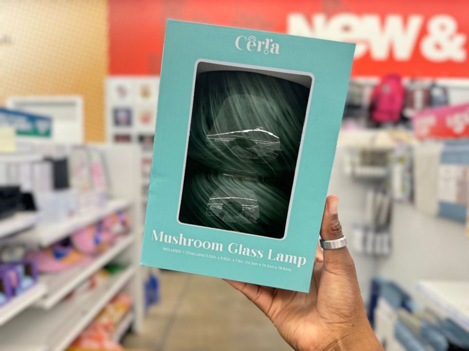 Striped Mushroom Glass Lamp box being held by hand in store