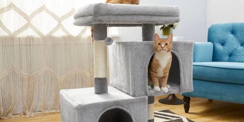 Cat Trees & Condos Only $29 Shipped on Chewy.com | Many Styles & Colors Available!