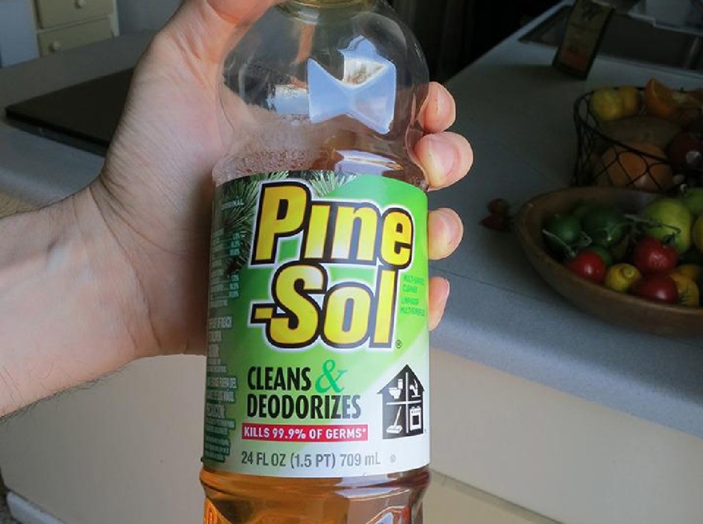 hand holding bottle of pine-sol