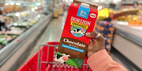 Horizon Chocolate Milk 59oz Carton Only $2.74 at Target (Regularly $5.49)