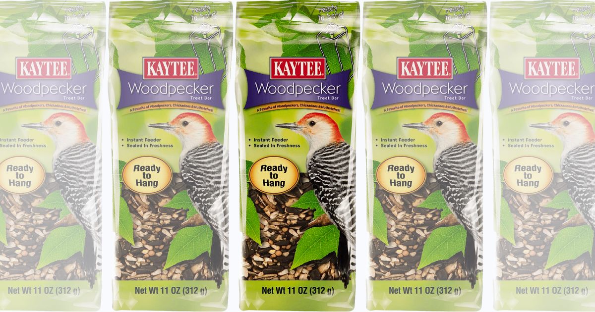 kaytee woodpecker treat bar instant feeder