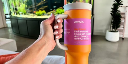 These Owala Tumblers on Target.com Look Like Stanley AND They’re on Sale!