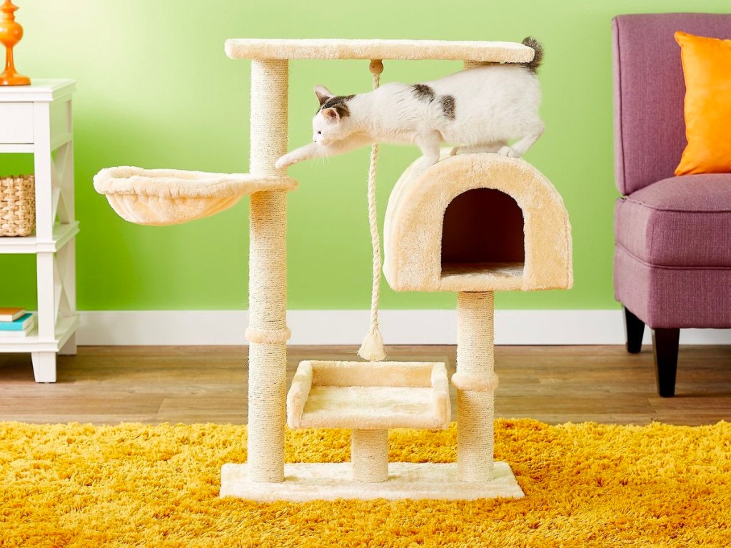 white cat playing on beige cat tree