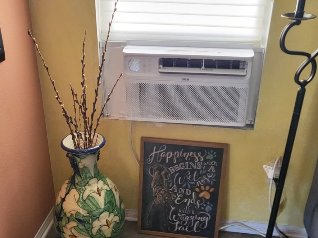 AC unit in window