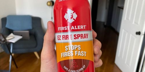 $10 Off Select First Alert Fire Extinguishers | EZ Fire Spray Just $6.99 (Regularly $18)