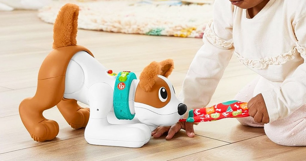 baby playing with Fisher-Price 1-2-3 Crawl with Me Puppy