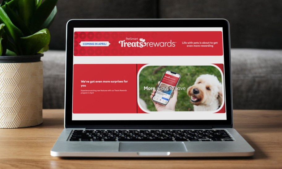 PetSmart Treats Rewards shown on a computer