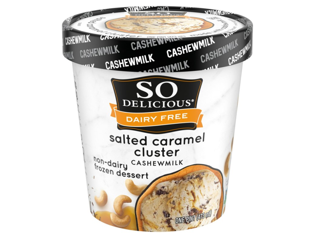 So Delicious Salted Caramel Cluster Cashew Milk Frozen Dessert - 16oz