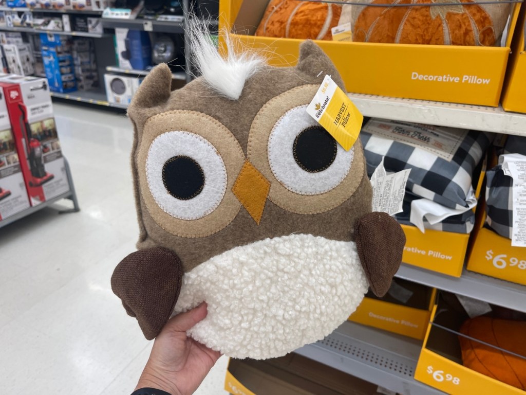 Way to Celebrate Harvest Owl Pillow