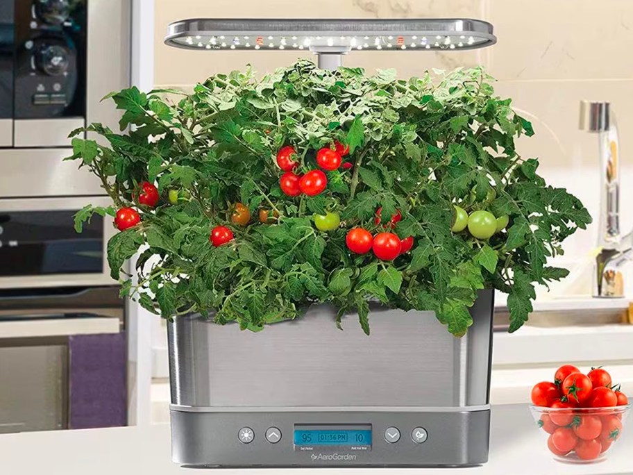 aerogarden elite on table with tomatoes