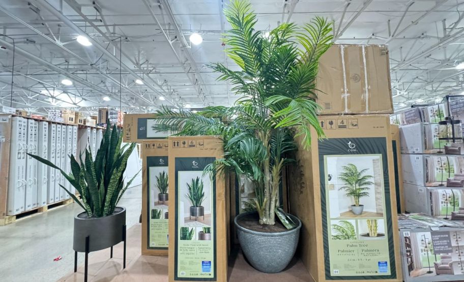 costco faux snake plant and palm tree on display in a store