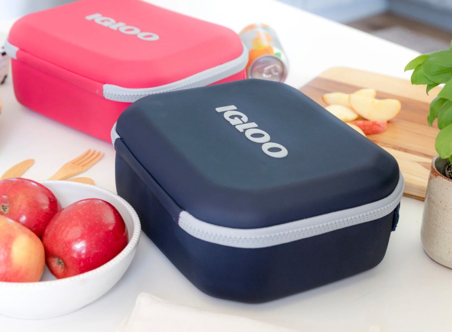 navy blue and pink igloo lunch bag sitting on kitchen counter with apples