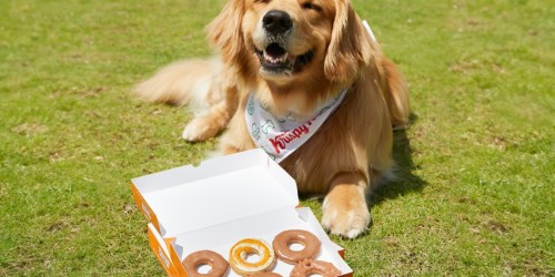 Krispy Kreme Limited Edition Doggie Doughnuts Available 8/26 + $5 Off Dozen Coupon