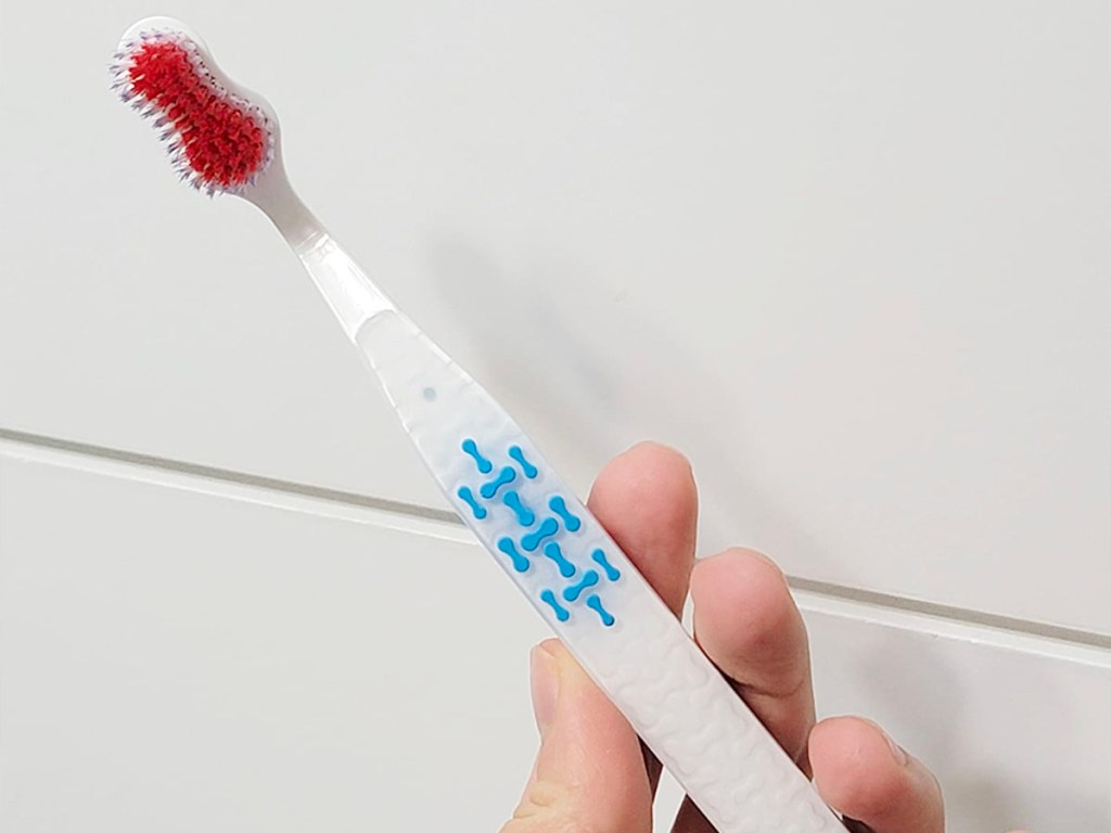 hand holding toothbrush