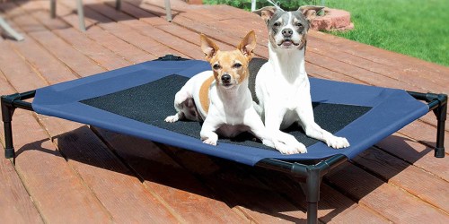 Earn 5x Treats Points on PetSmart Dog Beds & Crates | Elevated Dog Cot Just $47 Shipped (Reg. $85)