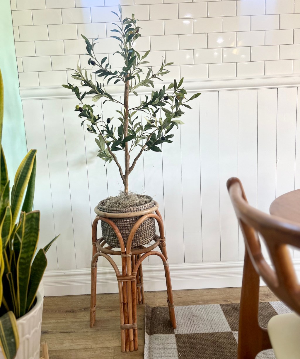 olive tree in bamboo planter in front of white tile wall