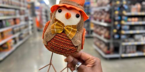 Fall Harvest Fabric Birds Only $4.34 on Walmart.com