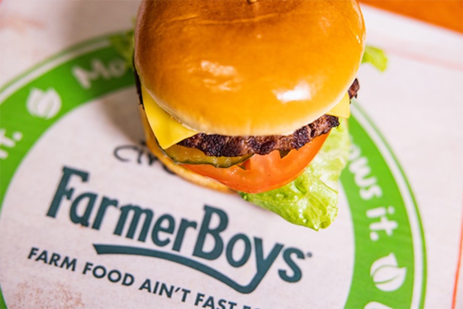 cheeseburger on Farmer Boys wrapper