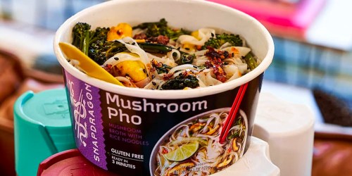 Snapdragon Pho Only 50¢ Each at Publix After Cash Back