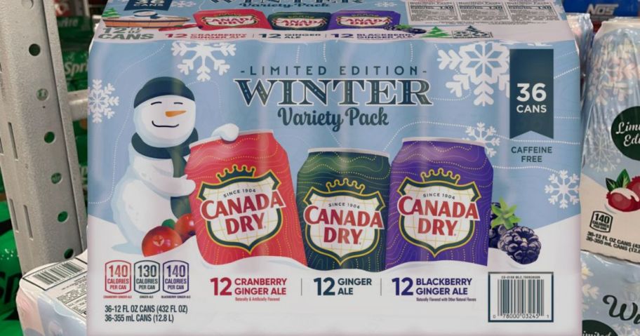 Canada Dry Winter