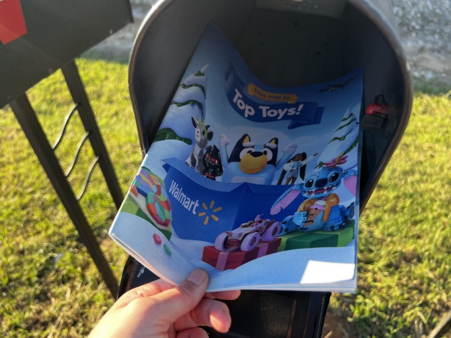 walmart 2024 toy book inside mailbox