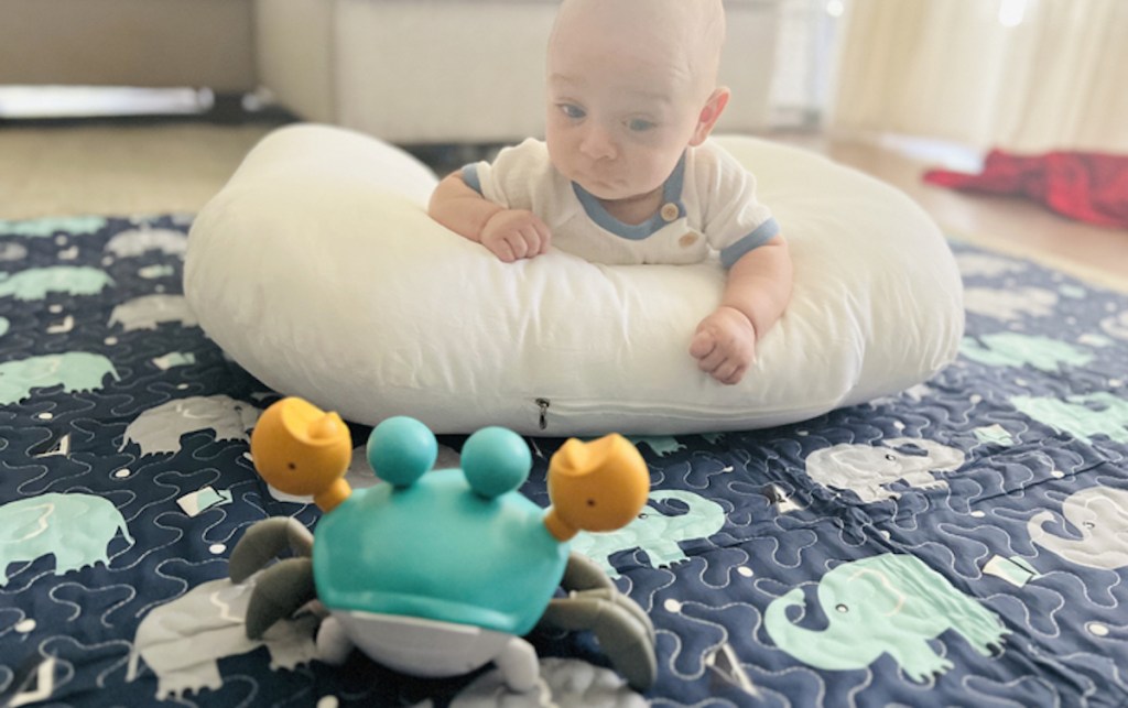 baby sitting on floor with tummy time pillow looking at blue and yellow crab toy