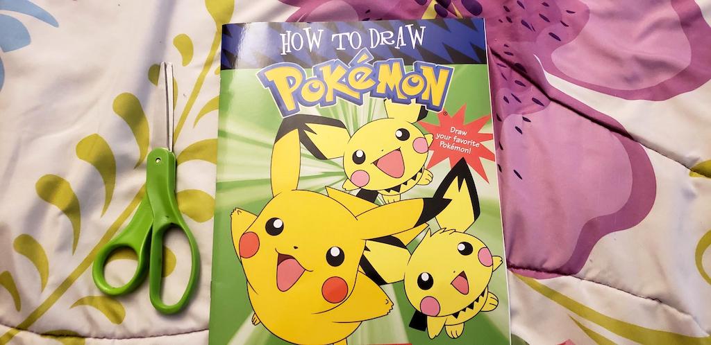 pokemon book 