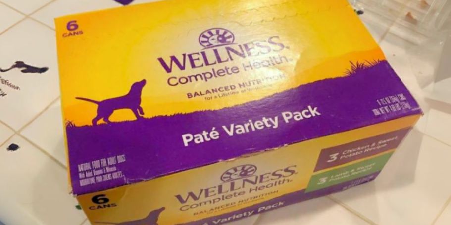 Wellness Canned Dog Food 6-Pack Only $11.69 Shipped w/ Stackable Amazon Coupons