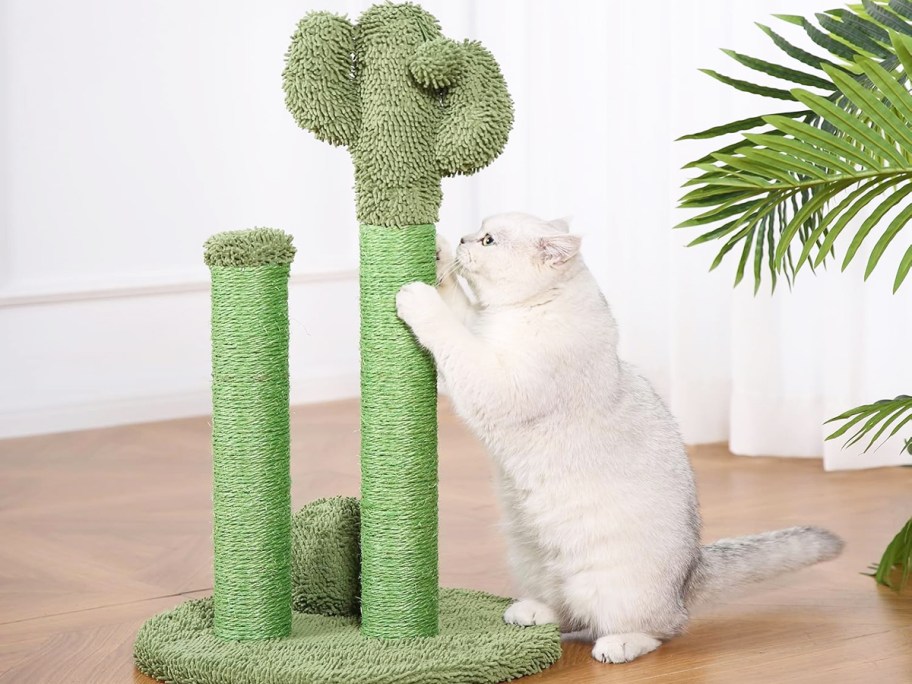 white cat scratching on a green cactus scratching post