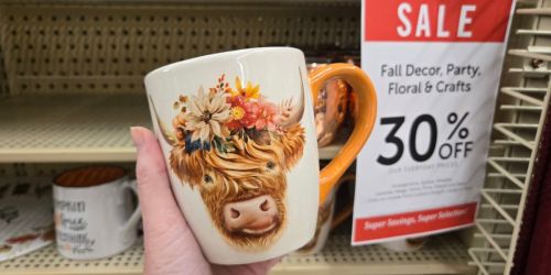 30% Off Hobby Lobby Fall Decor | Kitchen Must Haves, Pillows, & More from $2.44