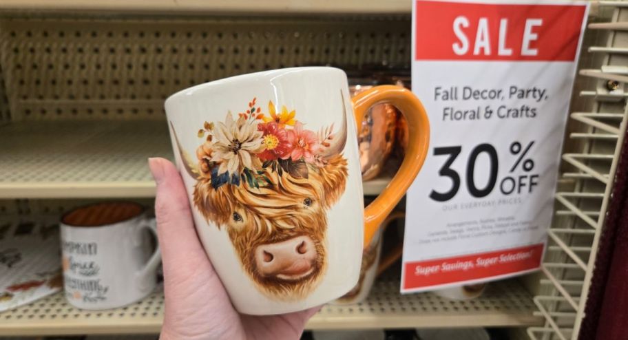 hand holding Highland cow mug in the store