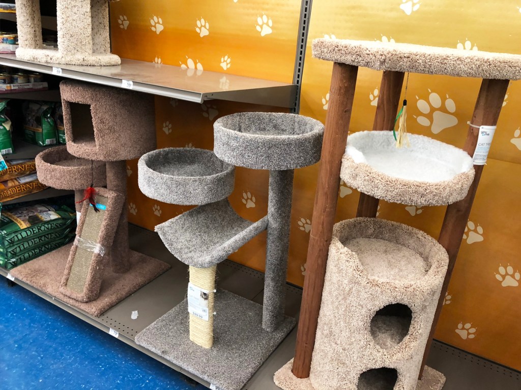 cat trees on display at petco