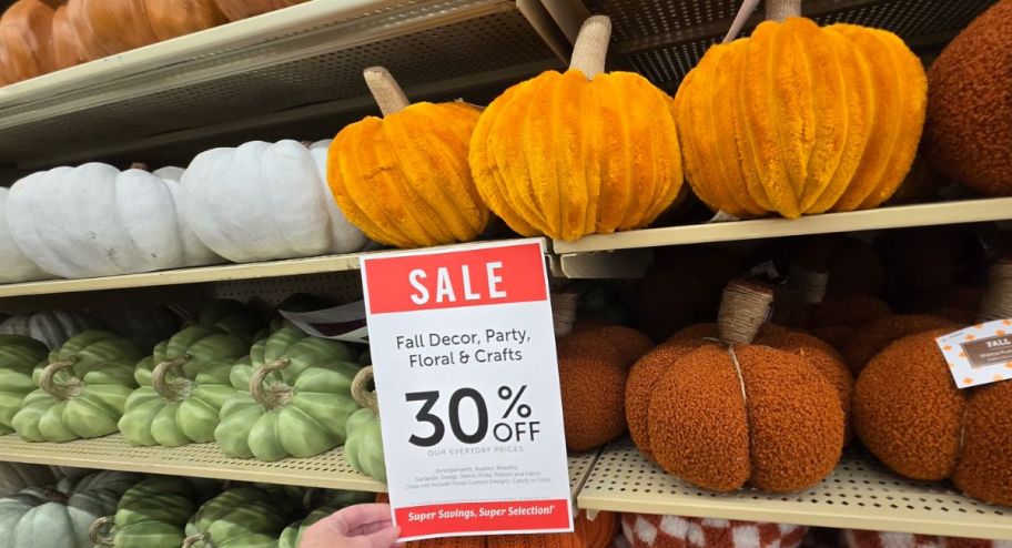 Display wall with tons of different types of decorative pumpkins
