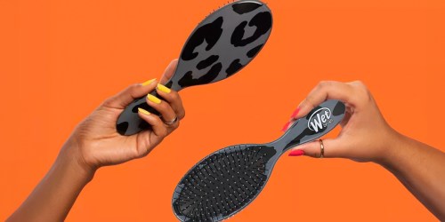 Wet Brush & Goody Go Neutral Detangler Brush & Style Set Just $14.99 Shipped on HSN.com