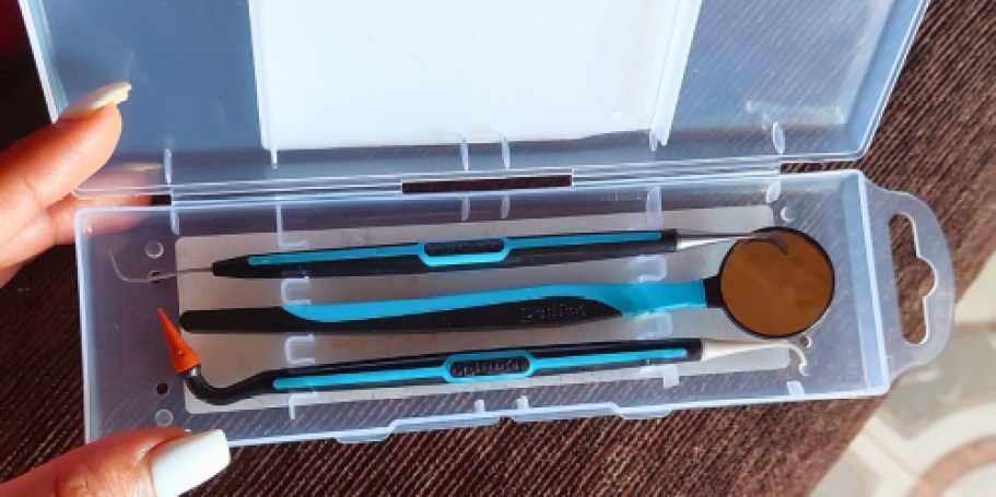 DenTek 3-Piece Oral Care Kit Just $4 Shipped on Amazon
