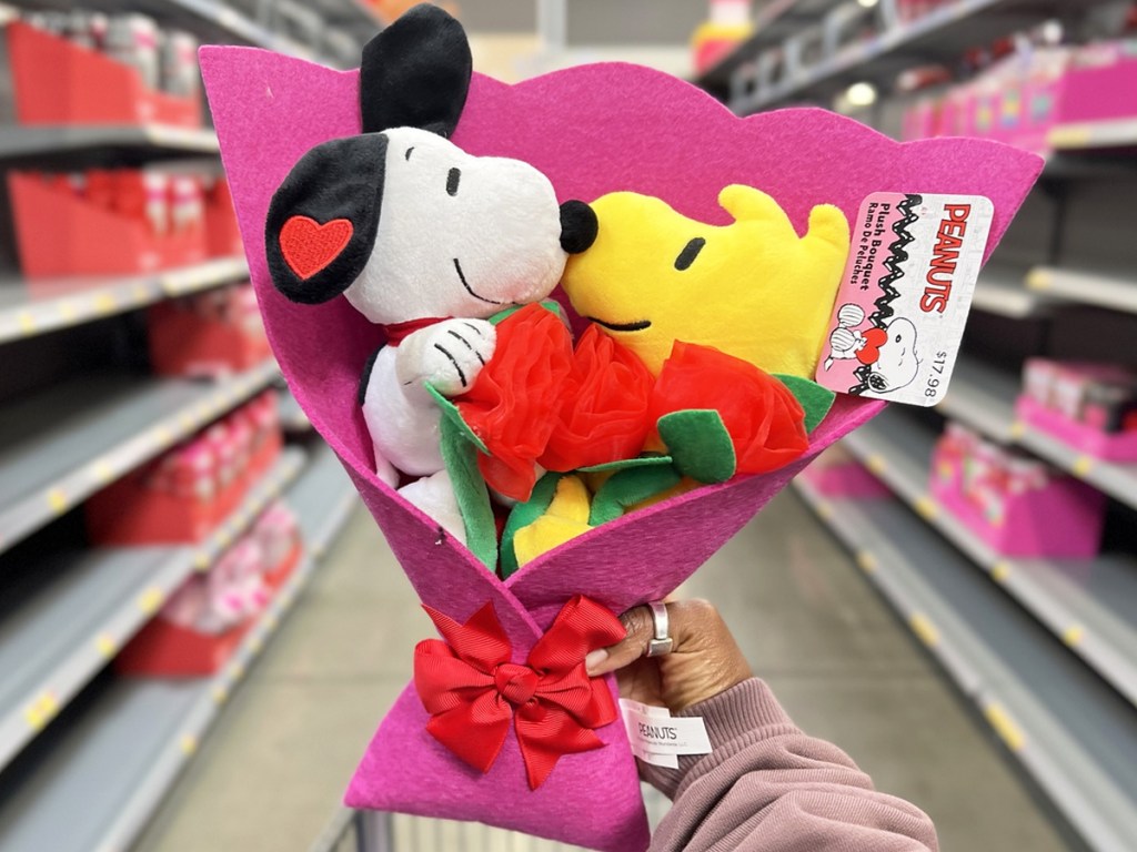 hand holding up a Snoopy and Woodstock Plush Valentine's Bouquet