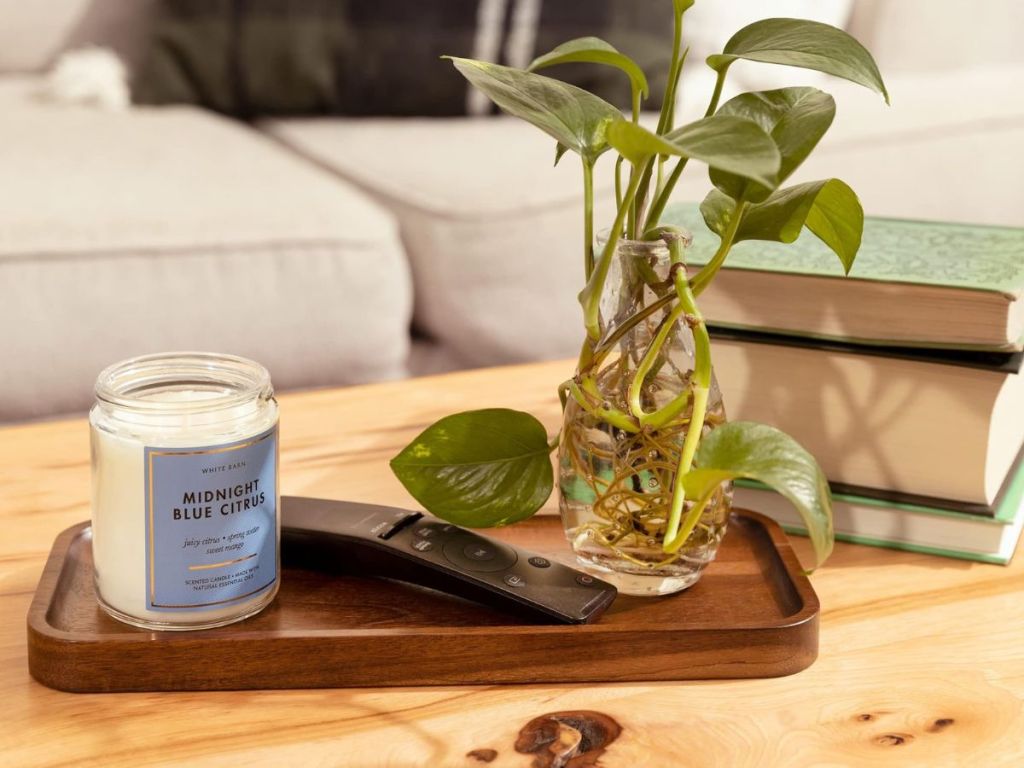 Solid Acacia Wood Serving Tray in a living room