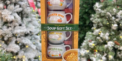 Soup Gift Set Just $19.54 on Walmart.com | Includes 4 Bowls & Chicken Noodle Soup Mix!